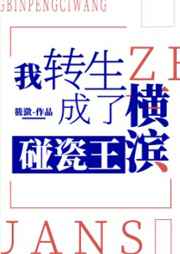 我转生成了横滨碰瓷王格格党